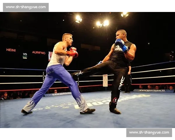 赛法斗：踢击独尊的优雅格斗艺术